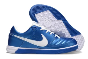 Premier Blue White IC ICNP0194